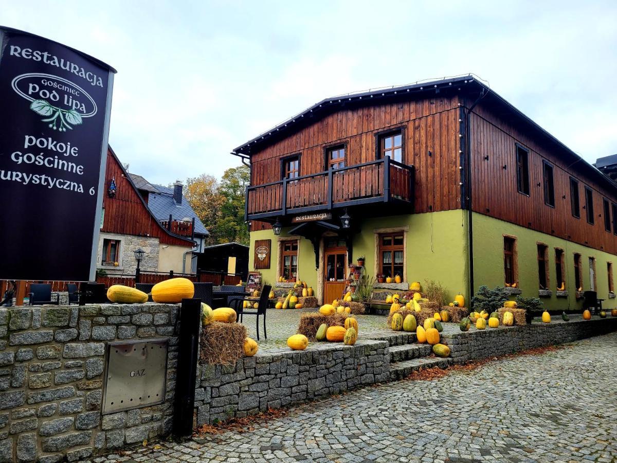 Gosciniec Pod Lipa Bed & Breakfast Шклярска Поремба Екстериор снимка