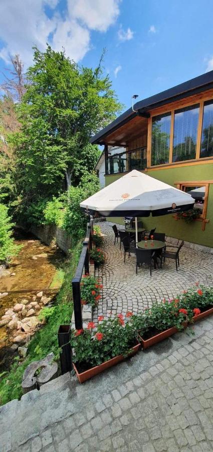 Gosciniec Pod Lipa Bed & Breakfast Шклярска Поремба Екстериор снимка