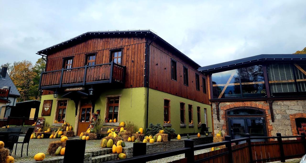 Gosciniec Pod Lipa Bed & Breakfast Шклярска Поремба Екстериор снимка